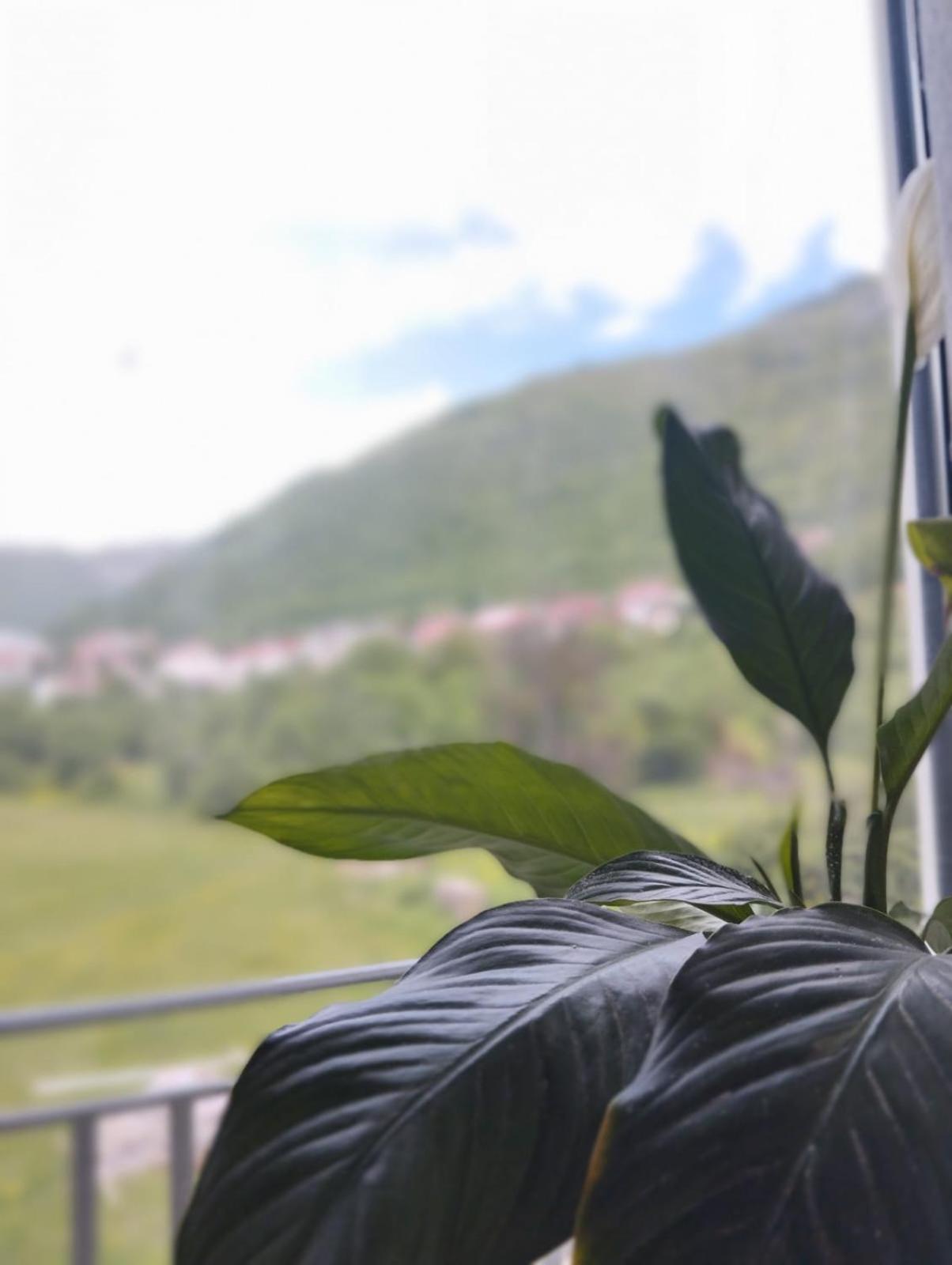 Apartment La Casa Plužine Dış mekan fotoğraf