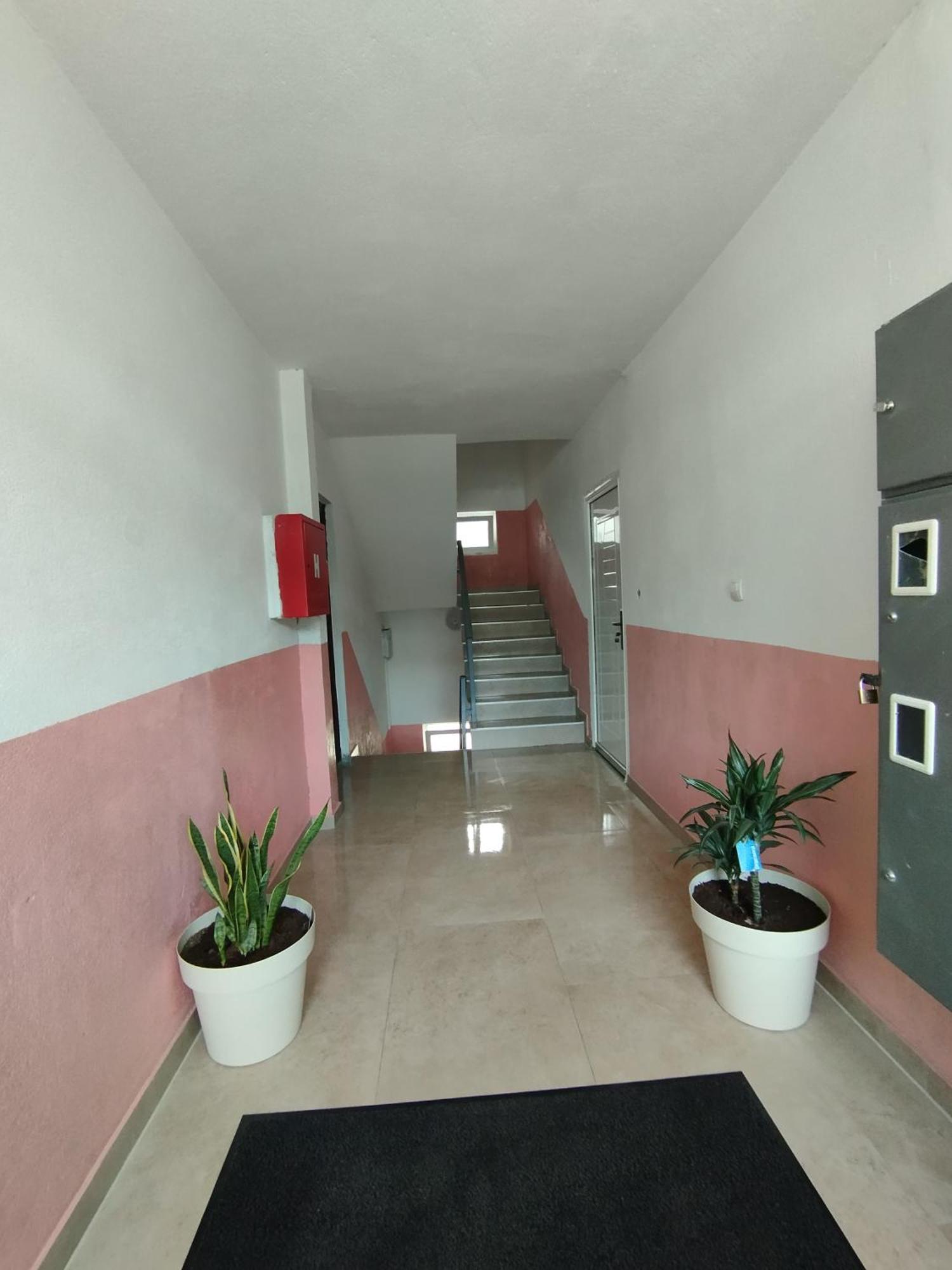 Apartment La Casa Plužine Oda fotoğraf
