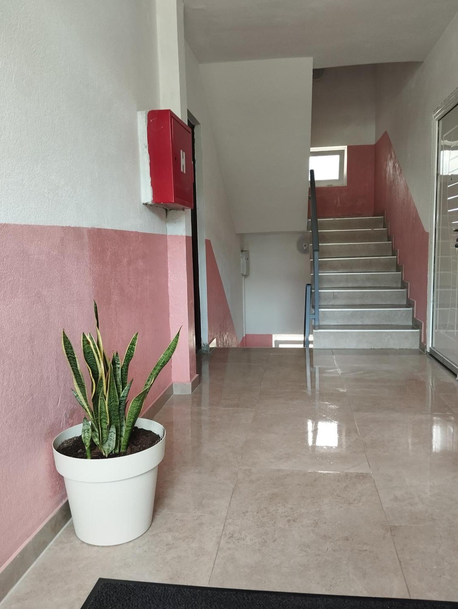 Apartment La Casa Plužine Oda fotoğraf